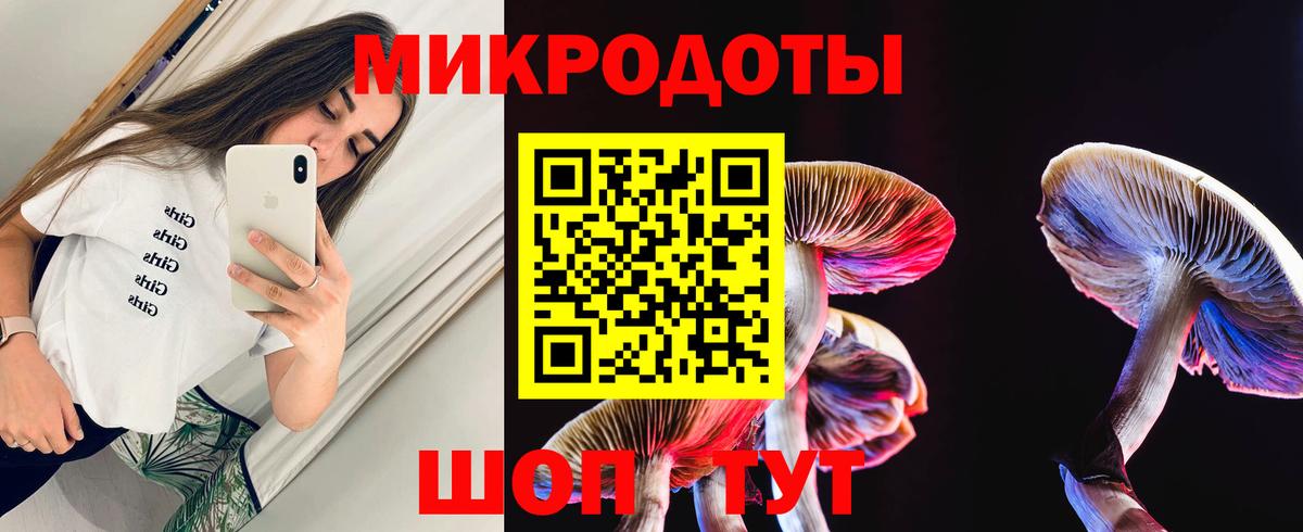 Мурманск  Псилоцибиновые грибы мухоморы  Вход с VPN 